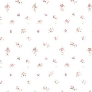 Meet your Posher, Celeste aurora